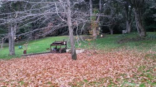 Lodge Caba�a Cumelen