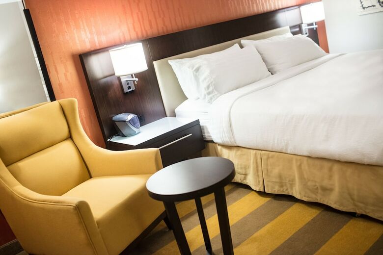 Hotel Holiday Inn Rochester Downtown