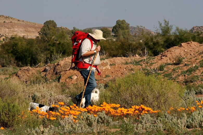 Agroturismo Daisy Country Lodge