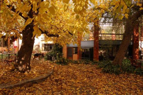 Posada Cuatrovientos Hoster�a