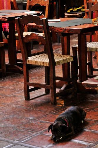 Posada Cuatrovientos Hoster�a