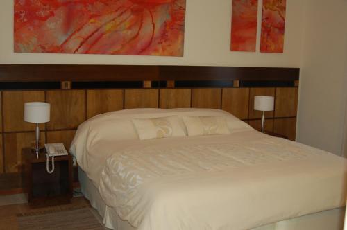 Camino Real Plaza Hotel