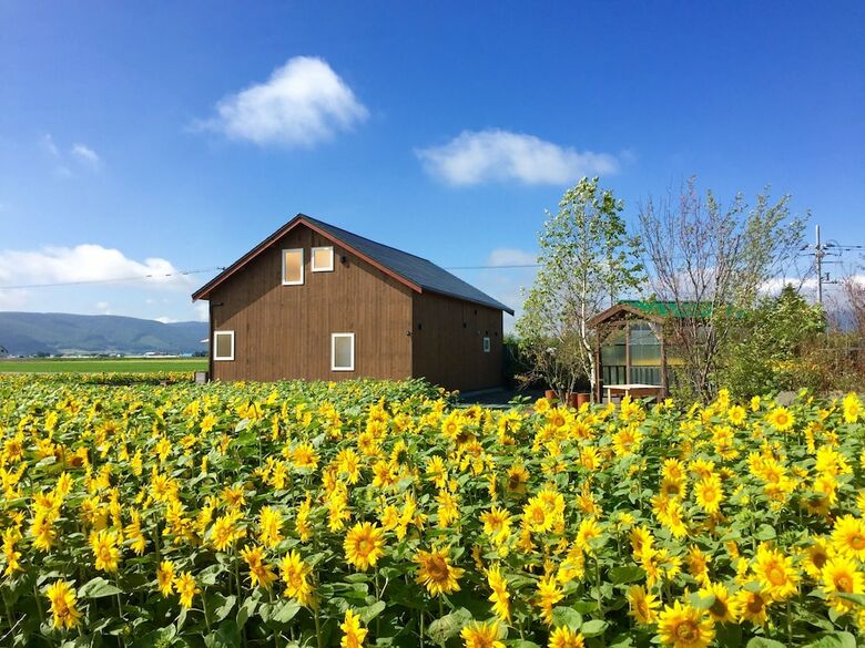 Country Cottage Wakiaiai