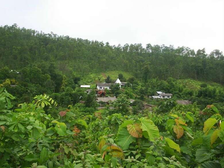 Hotel View Point Lodge