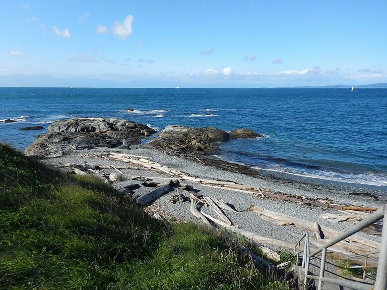 Dashwood Manor Seaside Bed & Breakfast