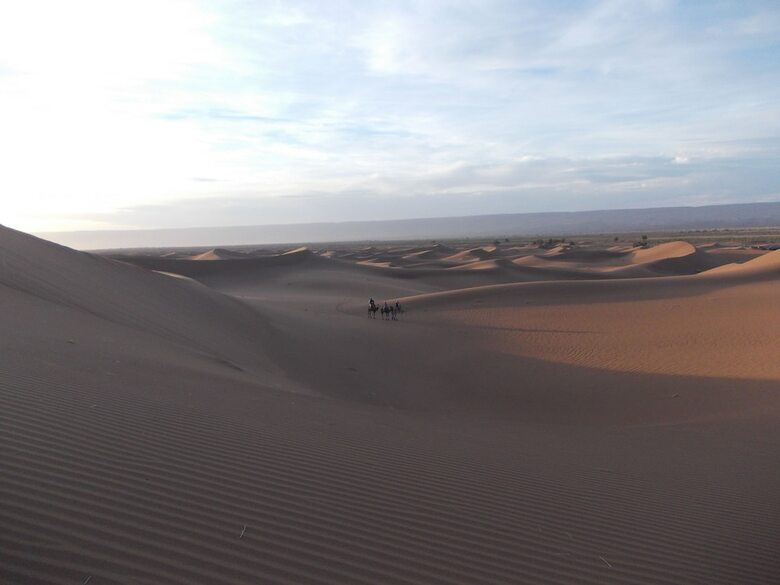 Bivouac Draa - Nuit Dans Le D�sert
