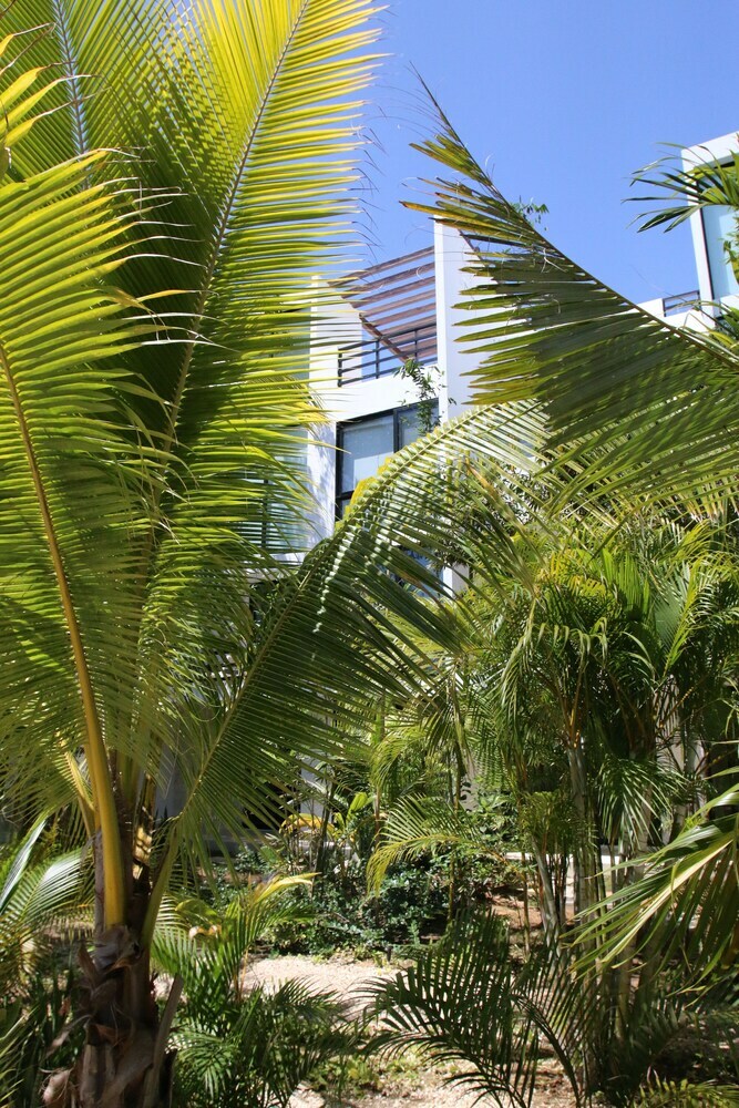 Apartamentos Anah Suites Tulum
