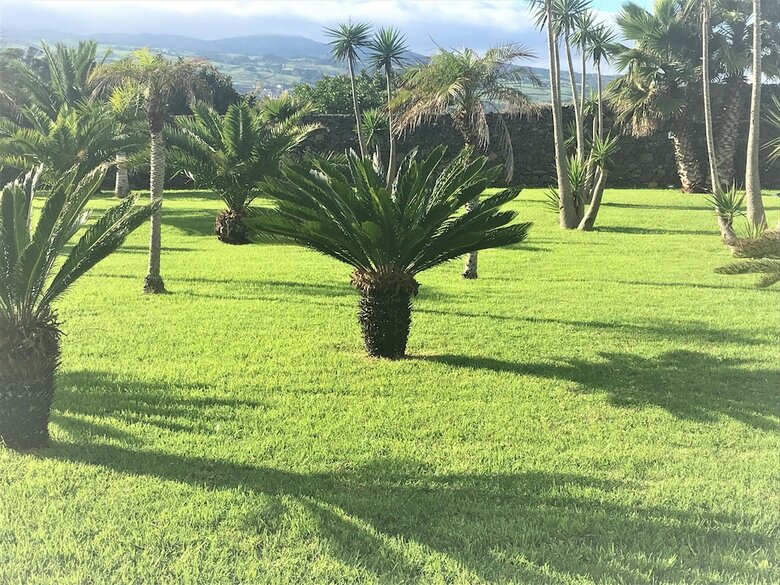 Apartamentos Whales Bay Hotel