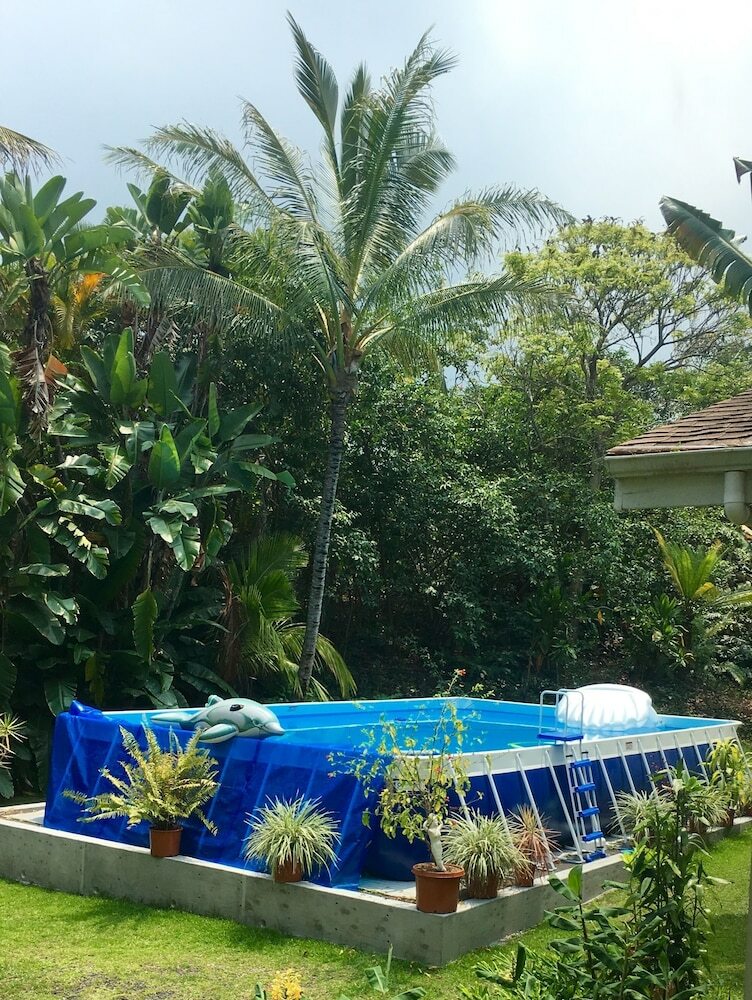 Bed & Breakfast Mermaid Dreams