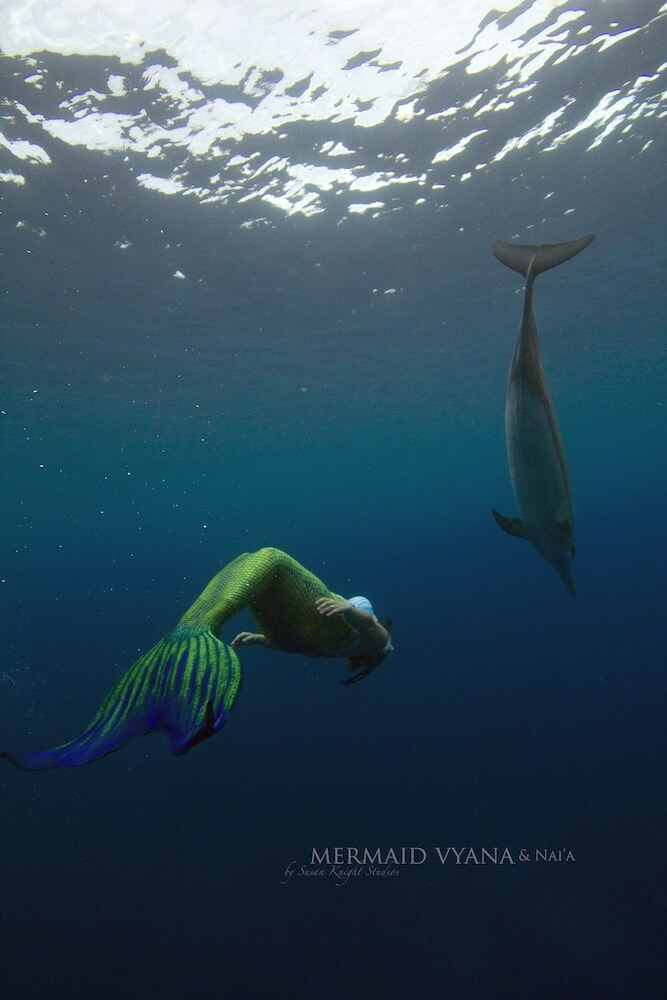 Bed & Breakfast Mermaid Dreams