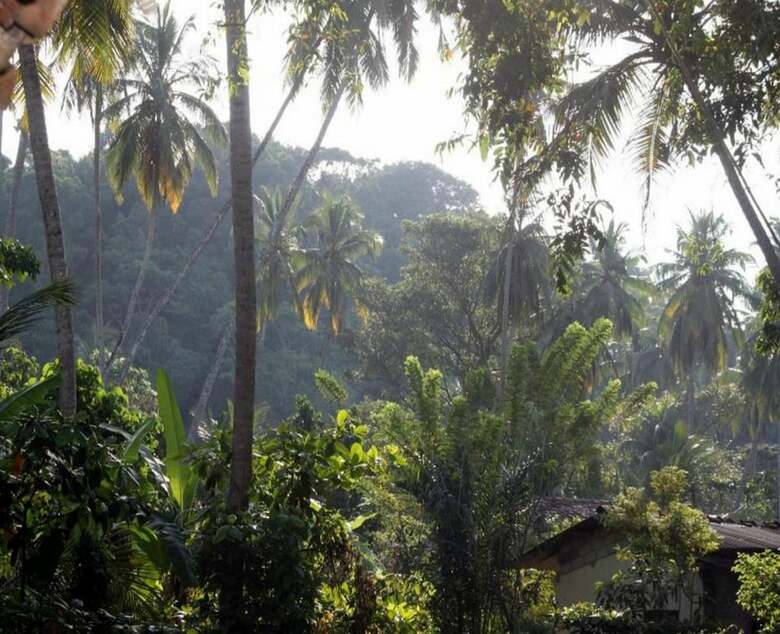 Bed & Breakfast Dunes Unawatuna Hotel