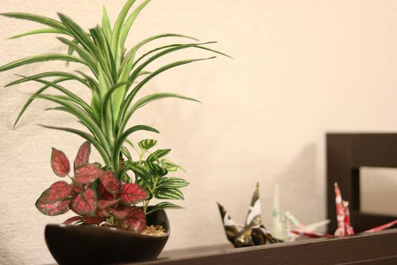 Hg Cozy Hotel No.2 Neyagawa