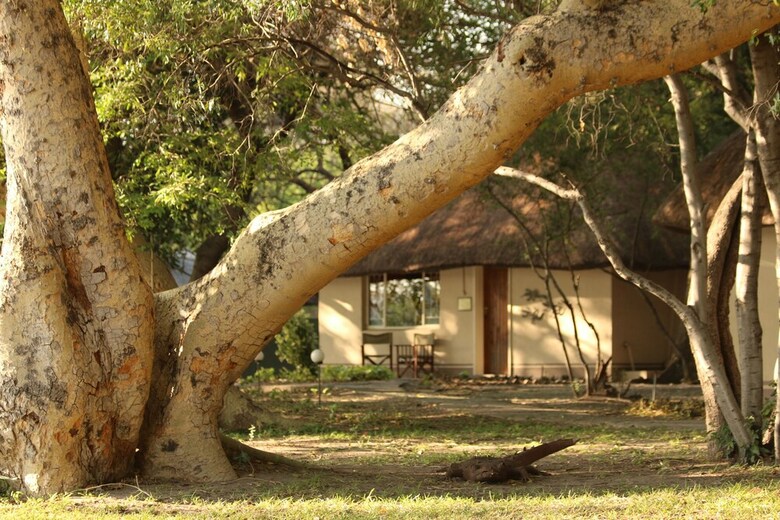 Posada Island Safari Lodge