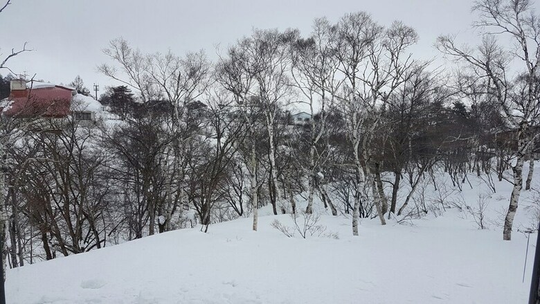 Hotel Active Life Madarao