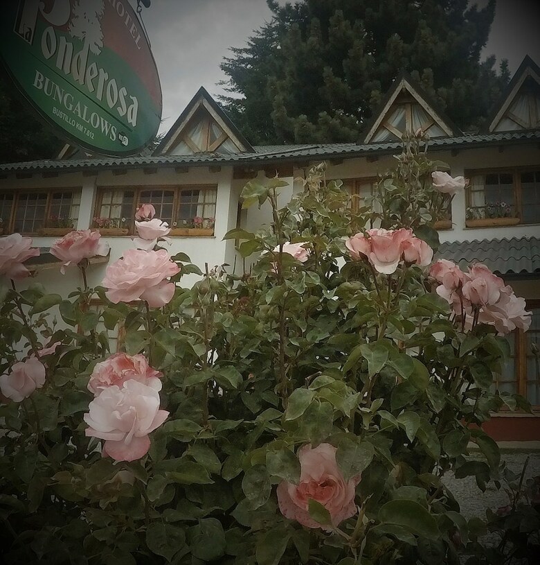 Lodge La Ponderosa