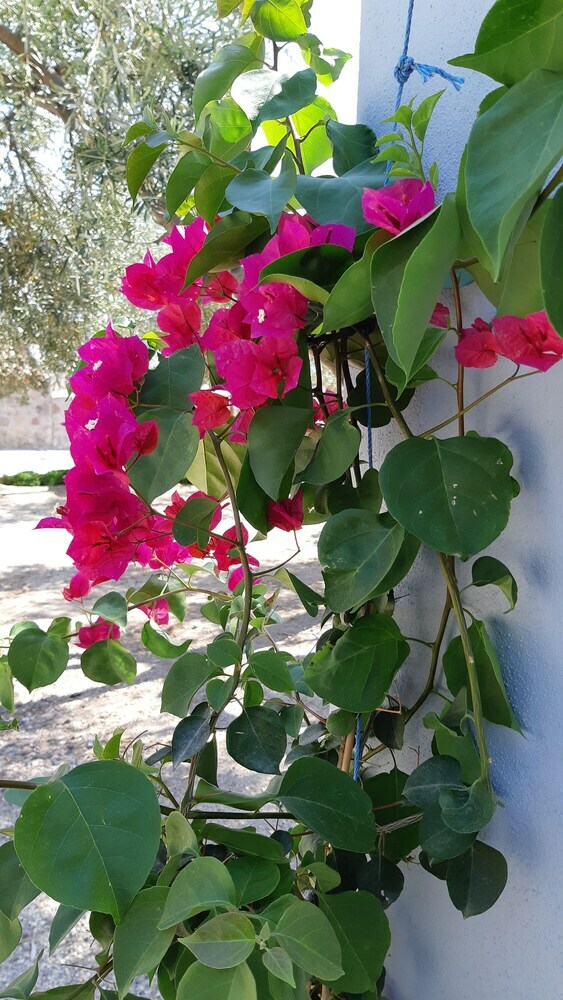 Hotel Assos Nazan Motel Restoran Beach