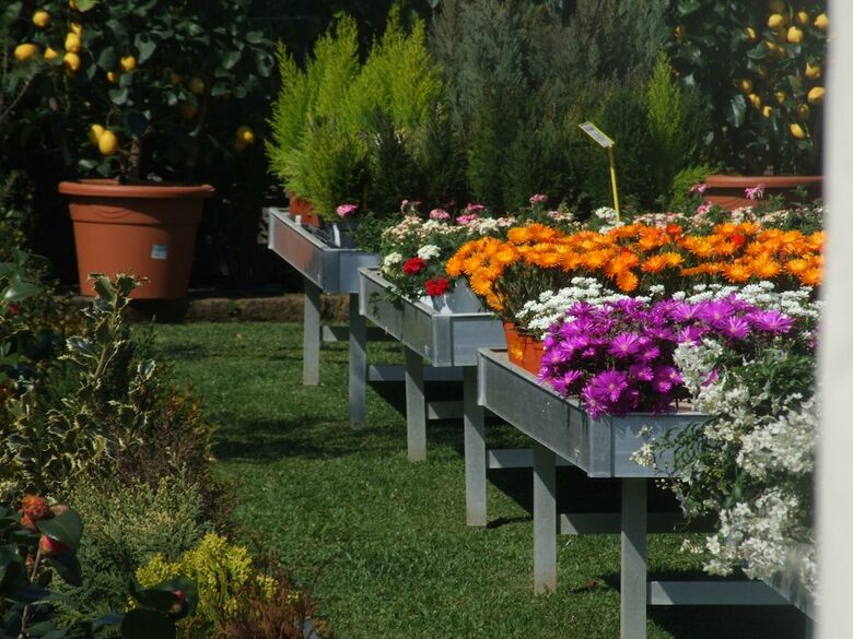 Bed & Breakfast Residenza "i Ciclamini"