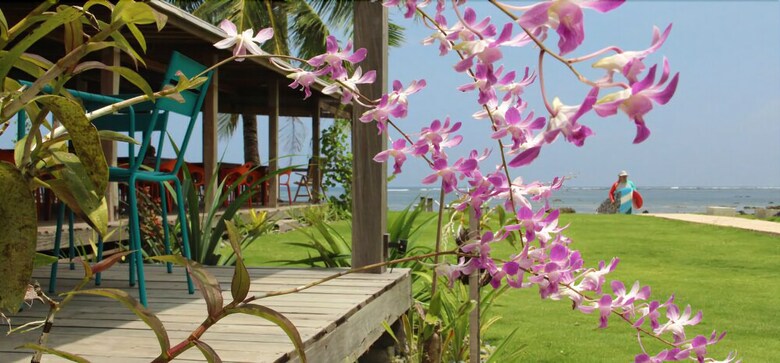 Hotel Reef Beach Resort