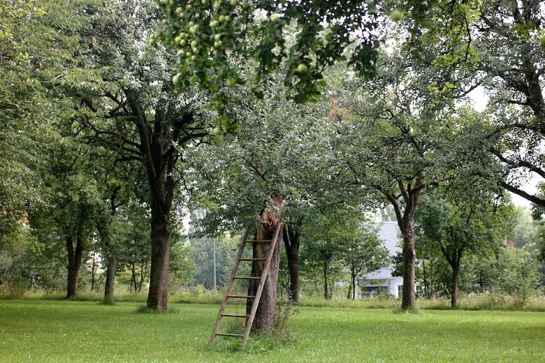 Eifel-appartementen.nl