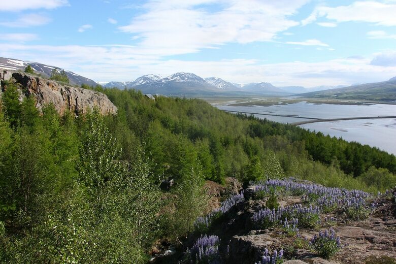 Viking Cottages And Apartments