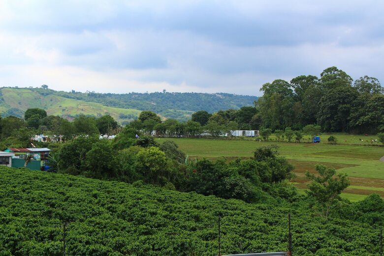 Bed & Breakfast Ruta Verde House