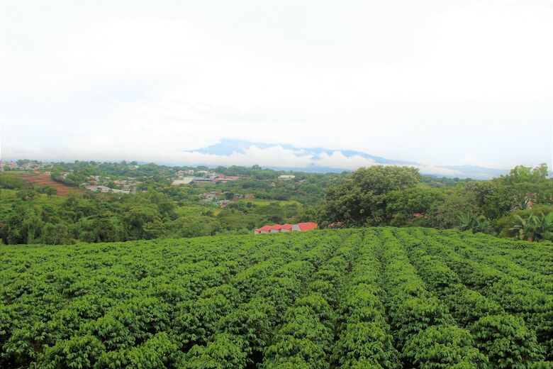 Bed & Breakfast Ruta Verde House