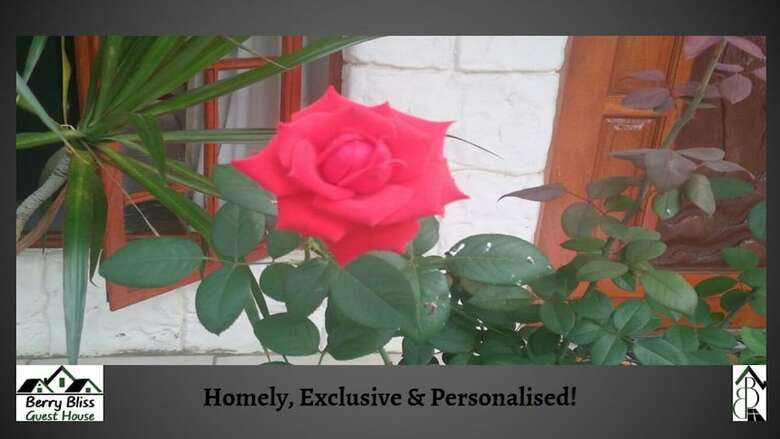 Hotel Berry Bliss Guest House