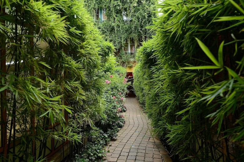 Les Patios Du Marais
