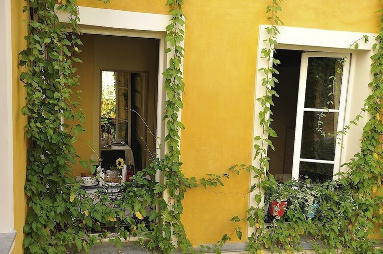 Les Patios Du Marais