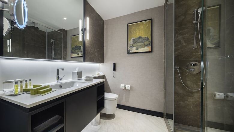 Hotel Hilton Istanbul Maslak