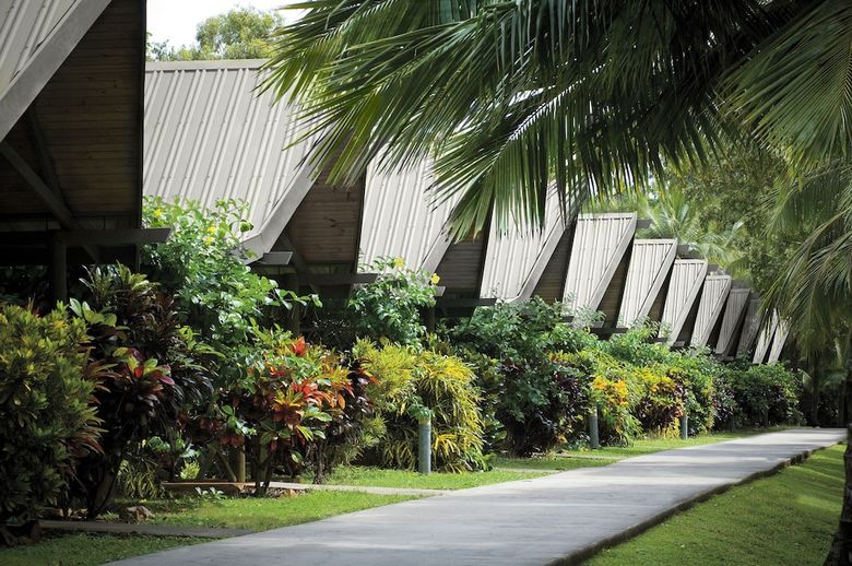 Apartamento Palm Bungalows