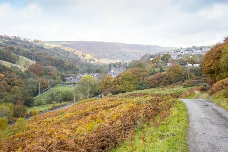 Posada Bedlinog Inn