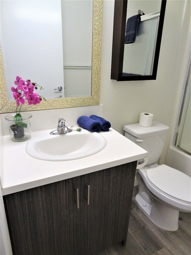 Apartamentos All In Stay Near Attractions