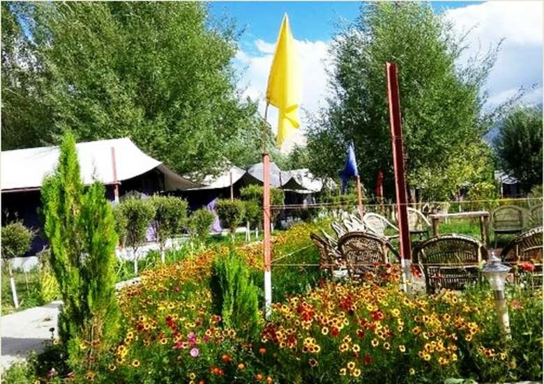 Valley Flower Camp Nubra