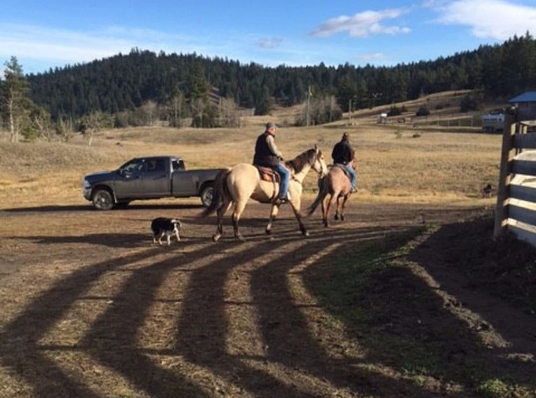 Bed & Breakfast Montana Hill Guest Ranch