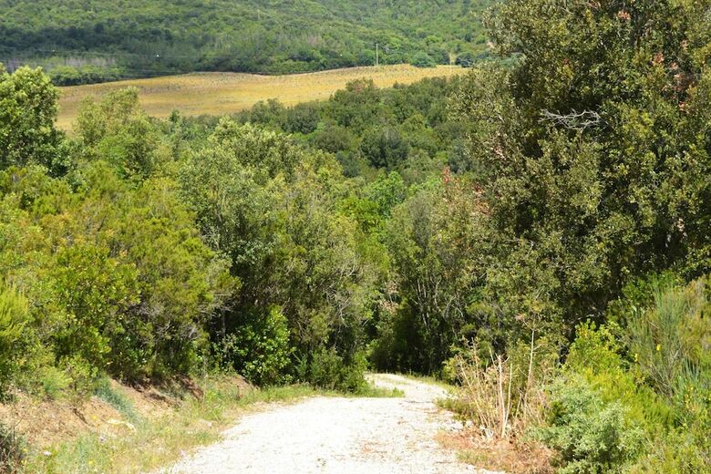 Agroturismo Le Moraiole Country House