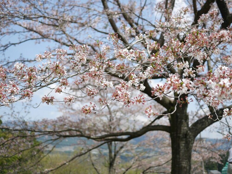 Hotel Shiki No Mori