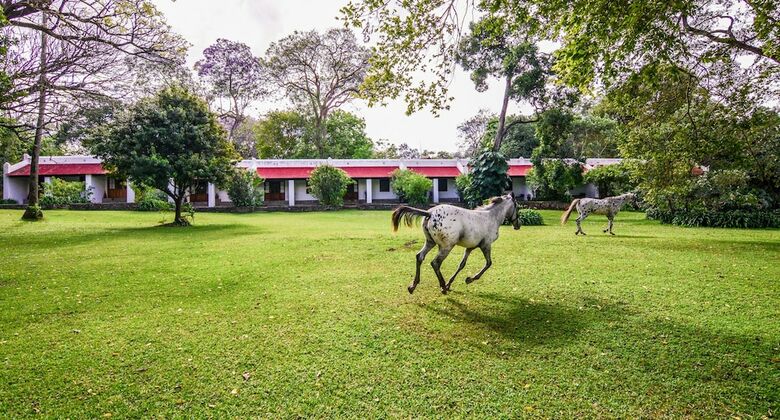 Posada Ngare Sero Mountain Lodge