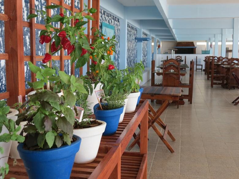 Hotel La Suite Praia