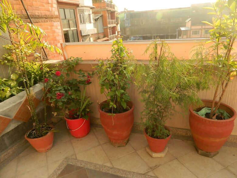 Hotel Om Tara Guest House
