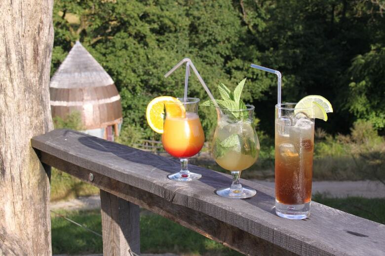 Hotel Terragora Lodges