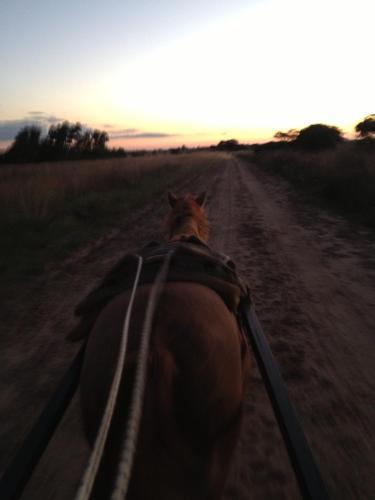 Hotel Estancia Yapeyu