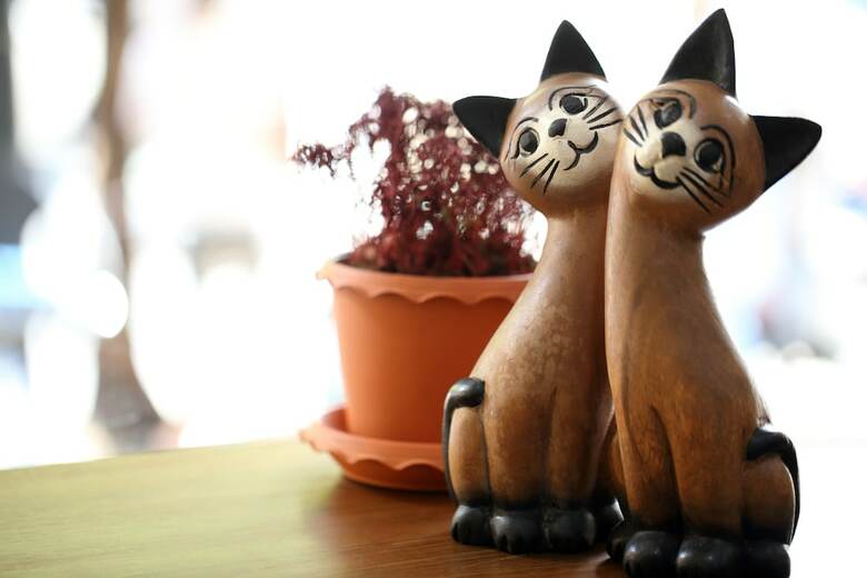 Hostal Thai Cat Hostel Bb Bangkok