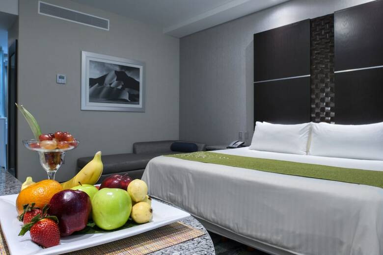 Hotel Araiza San Luis