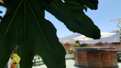 Hotel Posada Alpujarra Sol