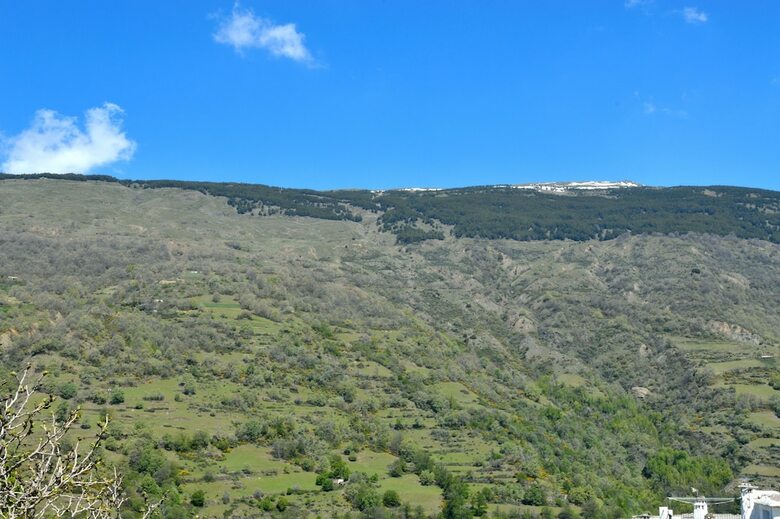 Hotel Rural Alfaj�a De Antonio