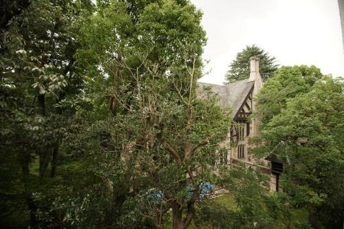 Hostal Bird Hostel