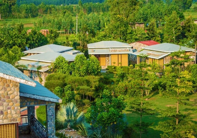 Hotel The Roar Resort