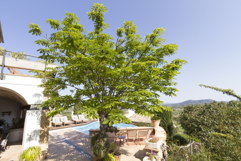 Can Cota Boutique Hotel