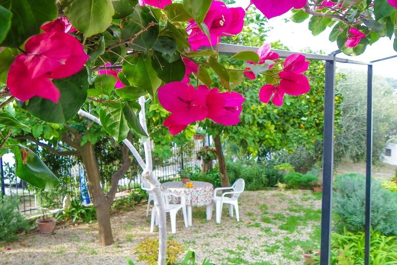 Apartamento Casa Pairola